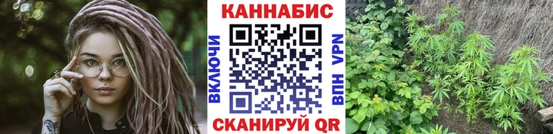 кракен ONION Харовск Бошки марихуана Amnesia